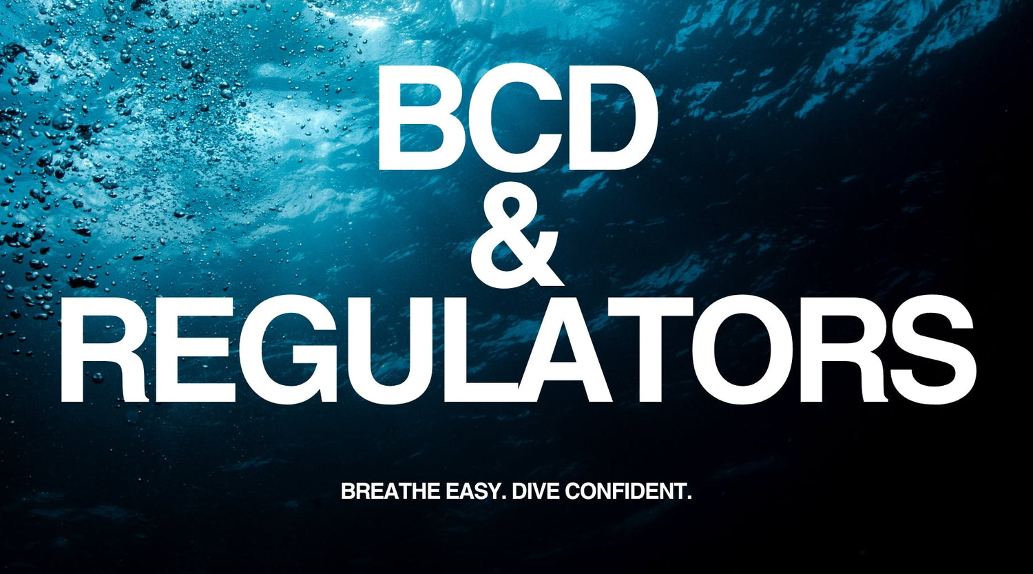 BCD & REGULATOR