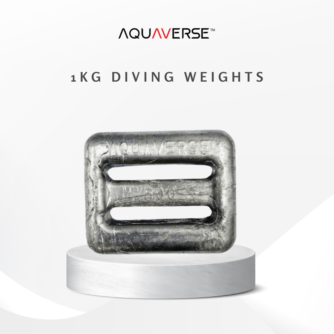 Aquaverse 500g/1KG Lead Diving Weight