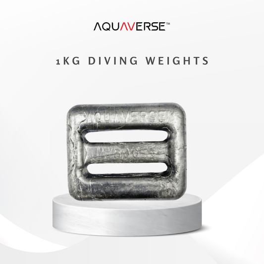Aquaverse 500g/1KG Lead Diving Weight