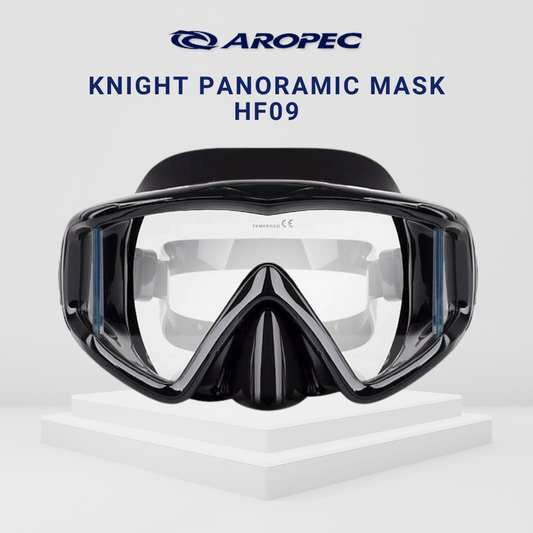Aropec HF09 Panaromic Mask