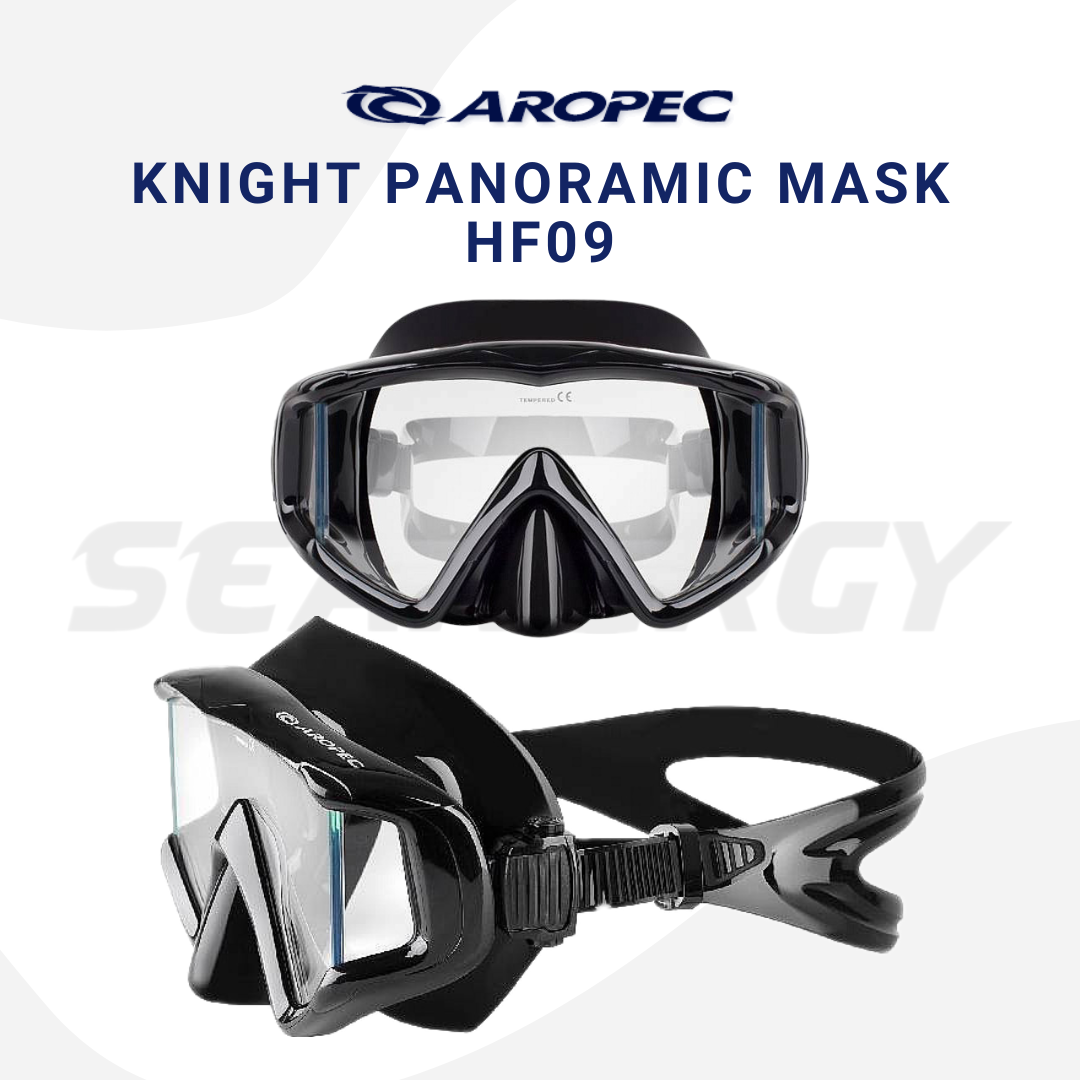 Aropec HF09 Panaromic Mask