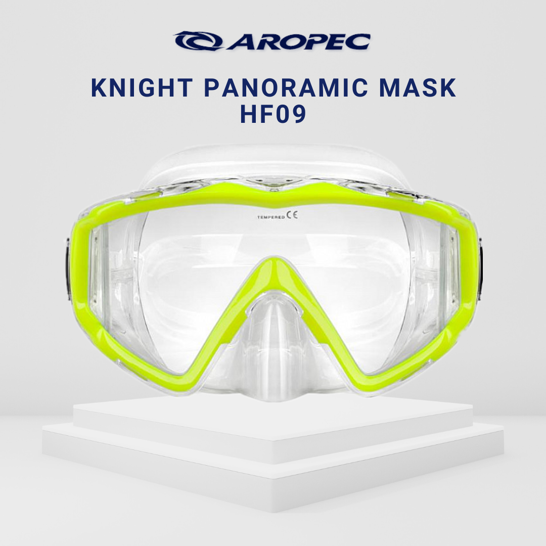 Aropec HF09 Panaromic Mask
